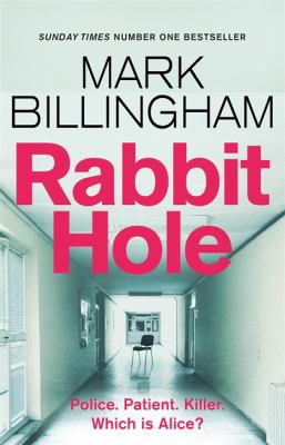 Rabbit hole Book cover