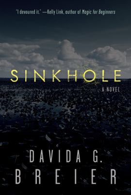 Sinkhole : a novel Book cover