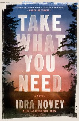 Take what you need : a novel Book cover